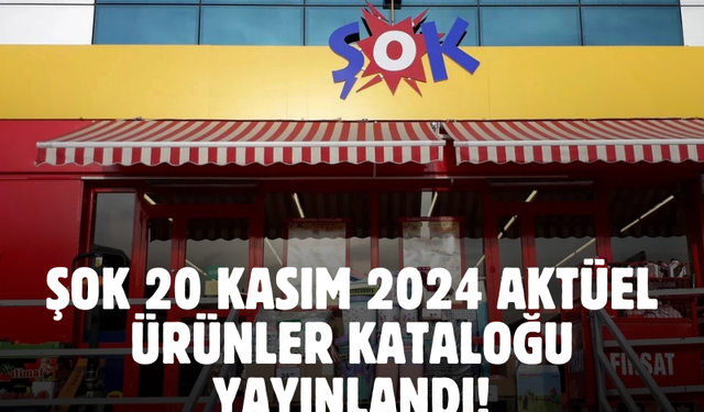 ŞOK 20 Kasım 2024 aktüel ürünler kataloğu