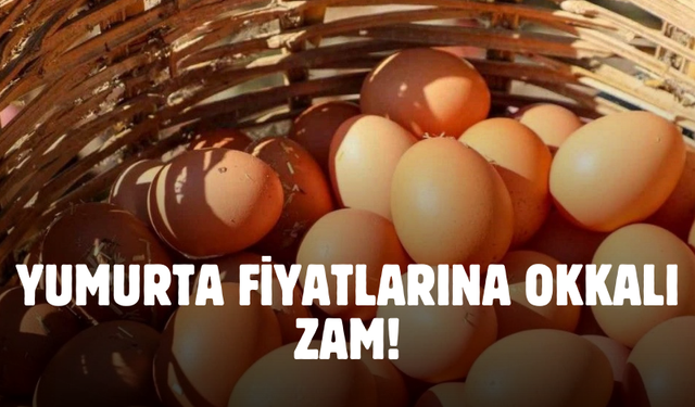 Yumurta lüks olma yolunda gidiyor! Rekor zam geldi koli fiyatları fırladı