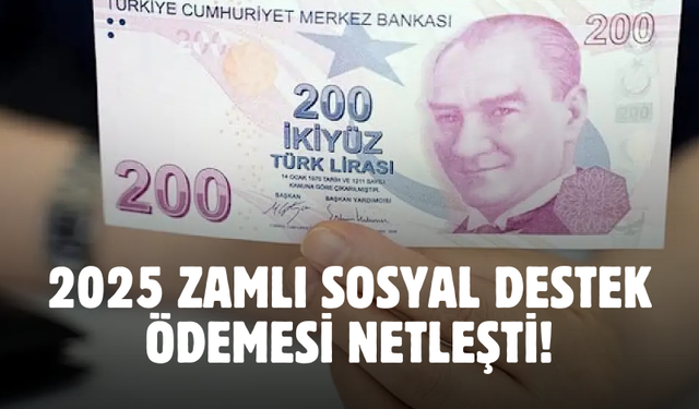 65 yaş, evde bakım, engelli maaşına zam gelecek! 2025 zamlı sosyal destek ödemeleri belli oldu