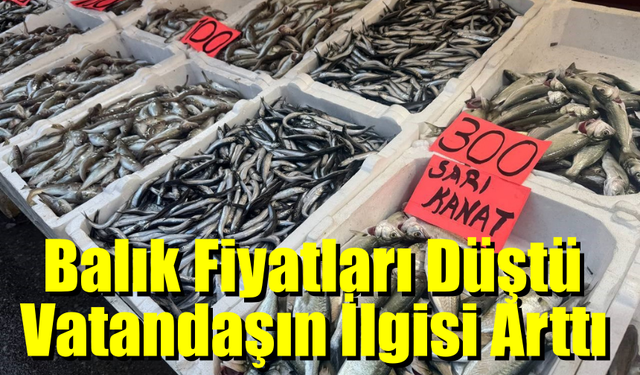 Zonguldak'ta Balık Fiyatları Düştü, İlgi Arttı