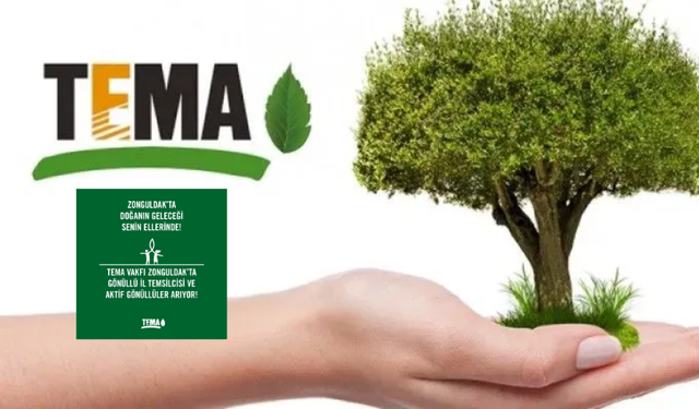 TEMA Vakfı Zonguldak'ta Gönüllü il Temsilcisi Arıyor