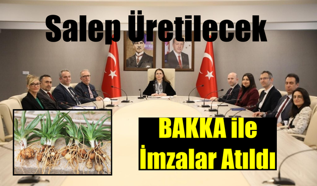 Bartın Üniversitesi'nden Salep Üretimi Projesine Destek