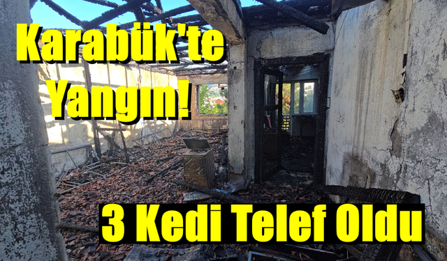 Karabük’te ev yangını! Üç kedi telef oldu