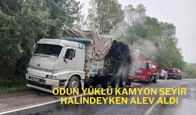 Odun yüklü kamyon seyir halindeyken alev aldı