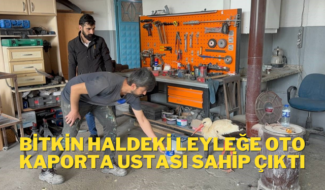 Bitkin haldeki leyleğe oto kaporta ustası sahip çıktı