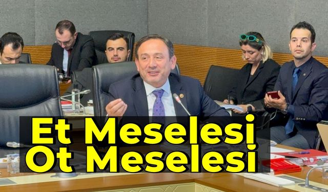 Ali Keskinkılıç'ın KİT Komisyonunda Et Değerlendirmesi