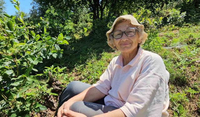 Emekli doktor, ikramiyesiyle kurduğu çiftlikte 14 yıldır organik üretim yapıyor