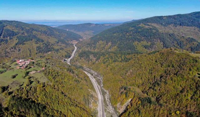 Kastamonu’da ormanlık alanlara girmek yasaklandı