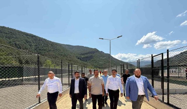 Sokak hayvanları için yapılan modern yaşam merkezi devreye alındı