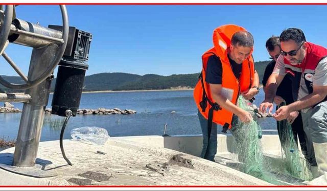 Bolu’da 2.5 kilometrelik kaçak ağ ele geçirildi