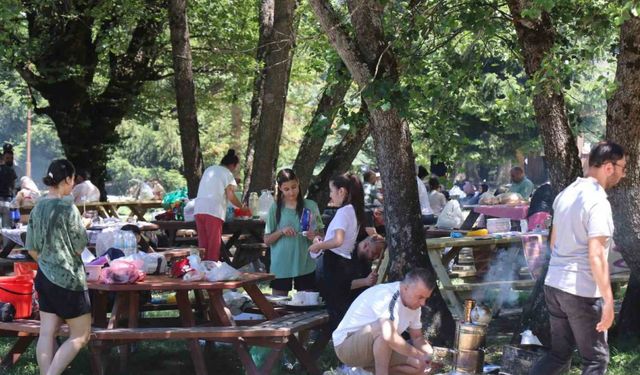 Bolu’da ‘ateşli piknik’ tamamen yasaklandı
