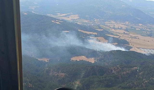 Bolu’da orman yangını
