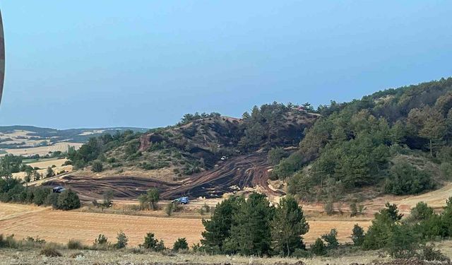 Bolu’daki orman yangını kontrol altına alındı