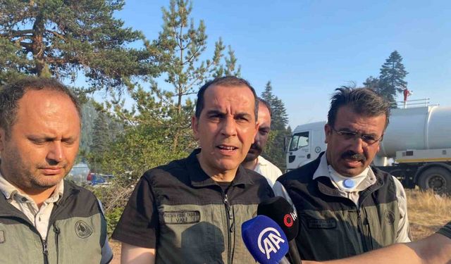 Çankırı Yapraklı orman yangını durduruldu