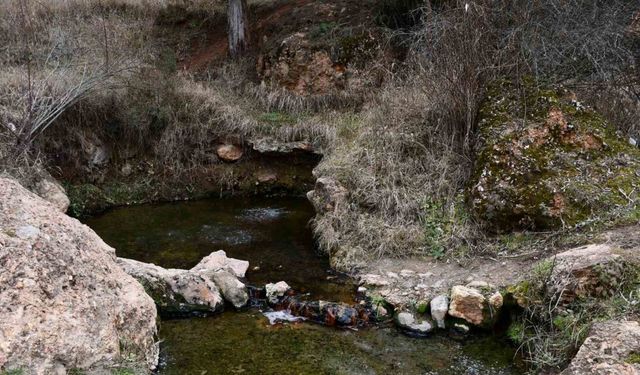 Her yıl yüzlerce insan bu suyla yıkanarak şifa arıyor