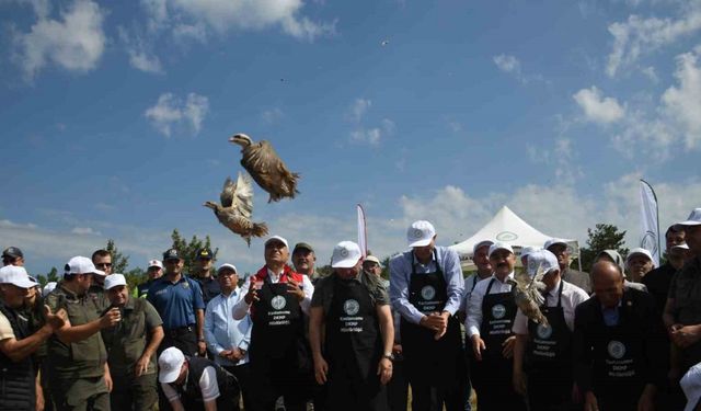 Kastamonu’da doğaya 2 bin 100 kınalı keklik salındı