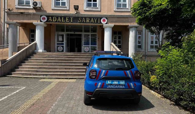 Fındık bahçesinde 16 kök hint keneviri ele geçirildi