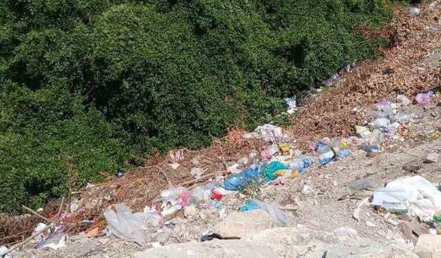 Alaplı’da Yol Kenarındaki Çöpler Tepki Çekiyor