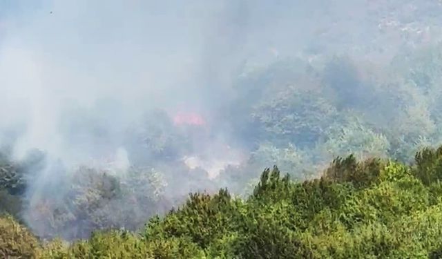 Bartın Ahatlar’da Orman Yangını Çıktı