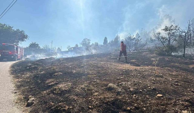 Bolu Alpagut’taki Yangın Evlere Sıçramadan Söndürüldü