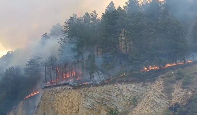 Bolu’da orman yangınına havadan ve karadan müdahale sürüyor