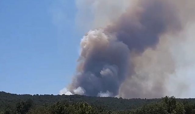 Bolu'nun Mudurnu ilçesinde orman yangını başladı