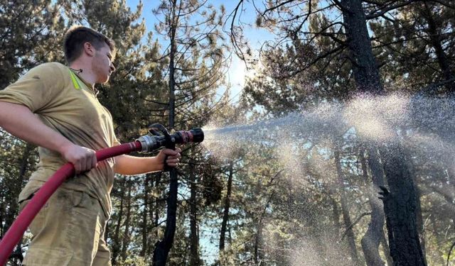 Bolu’da orman yangını büyük ölçüde kontrol altına alındı