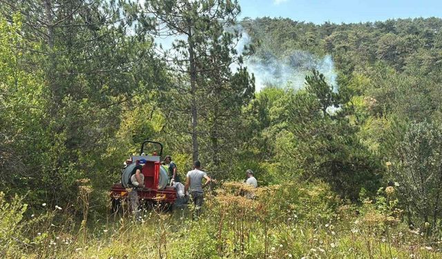 Bolu’da ormanlık alanda yangın başladı