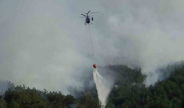 Bolu’daki orman yangını kısmen kontrol altında: 2 gözaltı