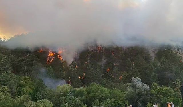 Bolu’daki orman yangını yayılıyor
