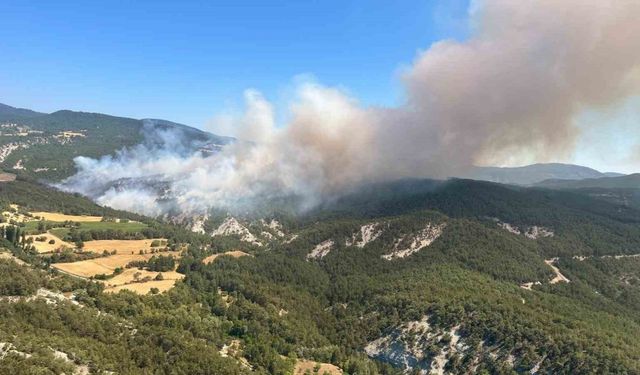 Bolu’daki orman yangınına müdahale sürüyor
