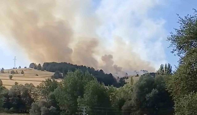 Çankırı Atkaracalar’da Orman Yangını