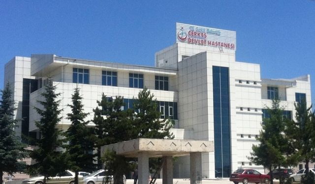 D100’de kontrolden çıkan hafif ticari şarampole devrildi