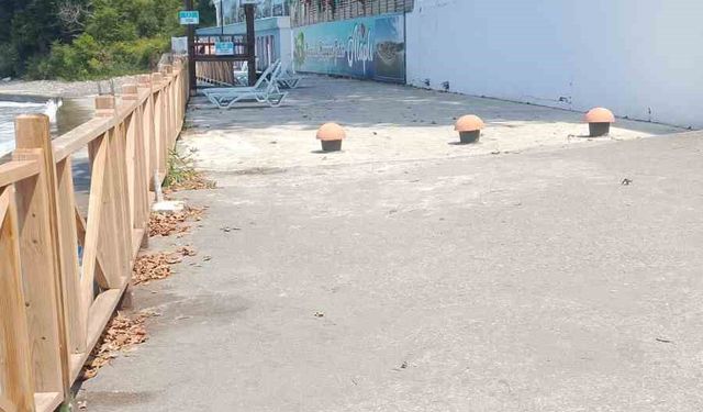 Karadeniz sahillerinde denize girmek yasaklandı