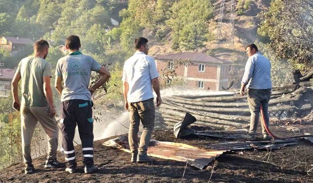 Kastamonu’da 2. Yangın Çıktı: 5 Samanlık Yandı!