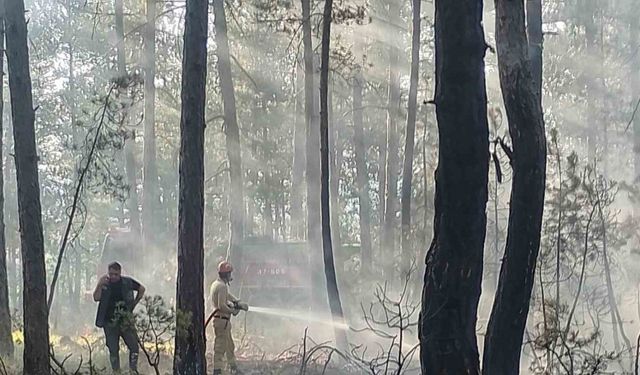 Kastamonu’da ormanlık alanda çıkan yangın söndürüldü