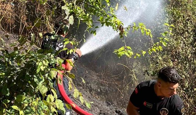 Kozlu’da anız yangını büyümeden söndürüldü
