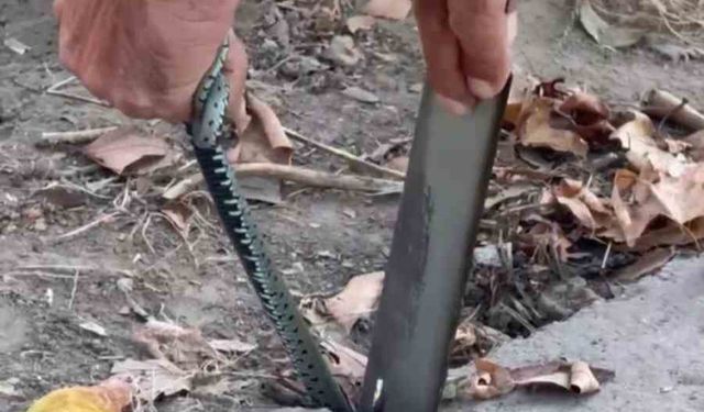 Vatandaştan yılan kurtarma operasyonu