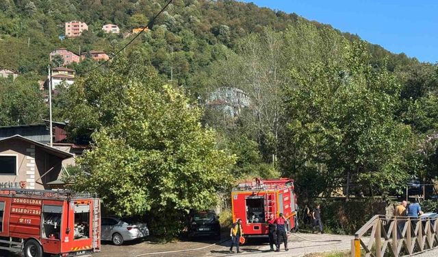 Zonguldak Çaydamar’da orman yangını kontrol altına alındı