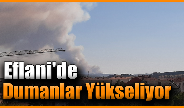 Karabük Eflani'de orman yangını