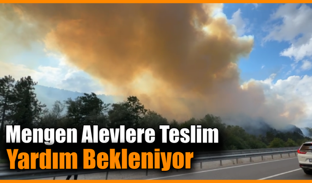 Bolu'da şiddetli rüzgar yangına müdahaleyi zorlaştırıyor