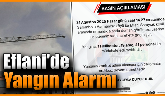 Eflani'de çıkan yangın müdahale başladı