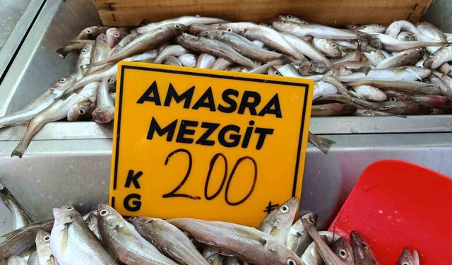 Balıkçılar palamut için "kestane karası"nı bekliyor