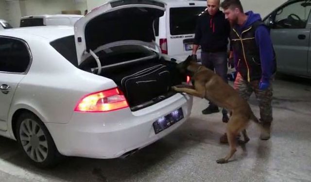 Bolu’da kaçakçılık operasyonunda 6 gözaltı