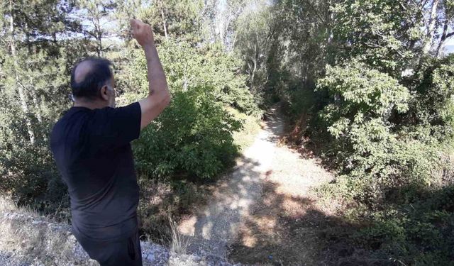 Mudurnu’da Uluçay Deresi Kuraklık Nedeniyle Kurudu