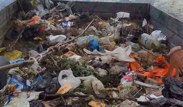 Muhtar Çubuk Gölü’nü kendi traktörüyle temizledi