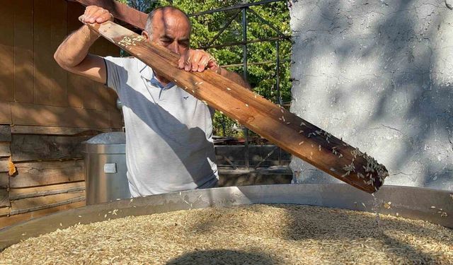 İhsangazi’de Binlerce Yıllık Siyez Geleneği Yaşatılıyor