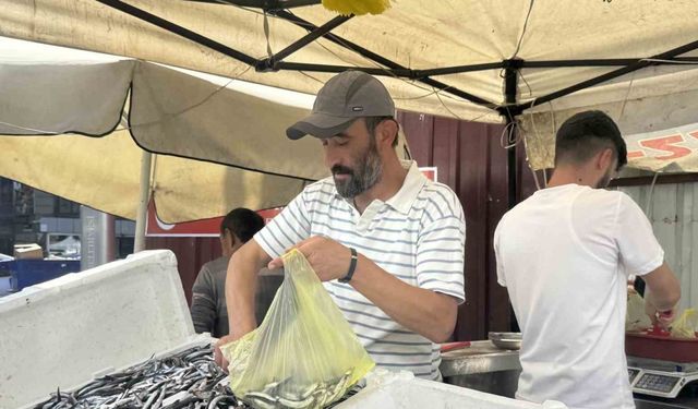 Zonguldak’ta balık tezgahlarında hamsi bolluğu