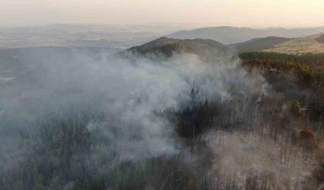 Vali Taşolar’dan orman yangınını ihbar eden çocuğa teşekkür