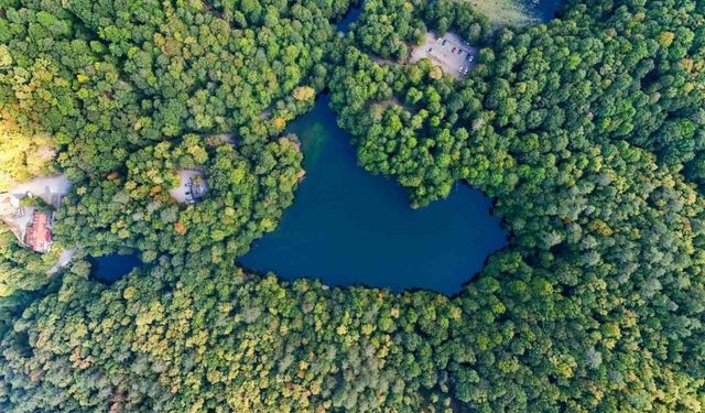 Yedigöller Milli Parkı'nda sonbahar cümbüşü